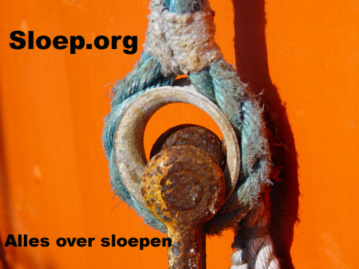 sloeplogo01.jpg - 68.69 Kb