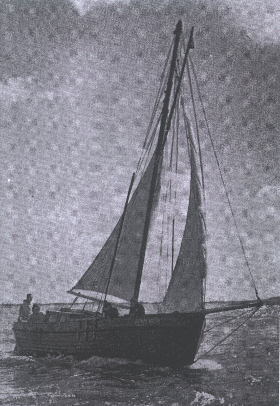 sonnevaert04.jpg - 155.15 Kb