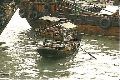 foodhawk1.jpg - 41.18 Kb